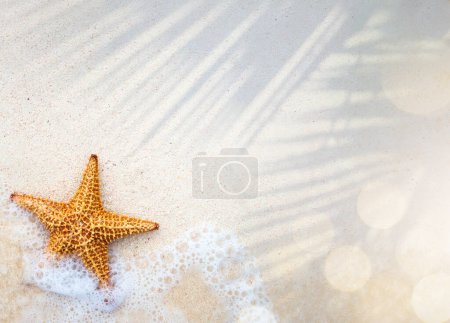 Téléchargez les photos : Résumé bannière des vacances tropicales d'été ; plage de sable et vague sur le bord de l'eau claire, étoile de mer sur le sable ; bannière concept des vacances d'été avec copie spac - en image libre de droit