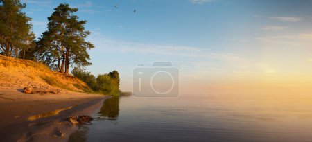 Foto de Hermoso paisaje fluvial de verano. Amanecer pacífico por la mañana en la rive - Imagen libre de derechos