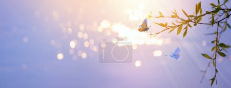 Téléchargez les photos : Abstrait flou beau fond d'eau de source avec des feuilles fraîches dans la branche de l'arbre et papillon volant - en image libre de droit