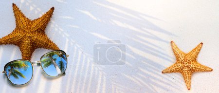 Téléchargez les photos : Concept d'été, coquille d'étoile de mer et lunettes de soleil sur la plage tropicale de sable, avec copie spac - en image libre de droit