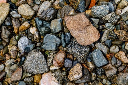 Photo for Closeup view at pebbles on the shore - Royalty Free Image