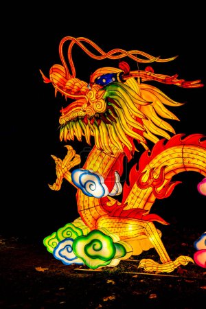 Photo for Novi Sad, Serbia - February 6, 2022: Detail from Chinese Lantern Festival in Novi Sad, Serbia. Festival was made to commemorate Chinese New Year  and created by art lantern company Zigong - Royalty Free Image
