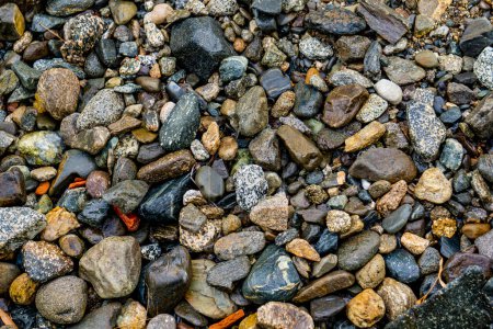Téléchargez les photos : Vue rapprochée sur les galets sur le rivage - en image libre de droit