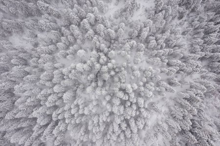 Photo for Drone view at mountain in snowy winter - Royalty Free Image