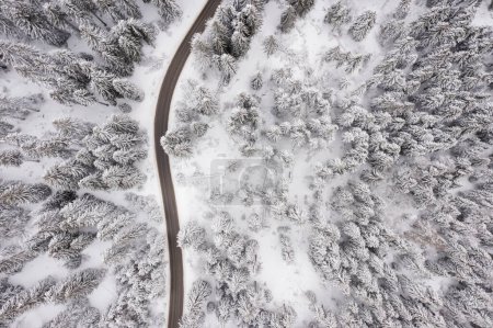 Photo for Drone view at mountain road at snowy winter - Royalty Free Image