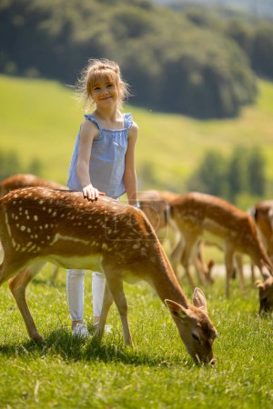 Photo for Cute little girl among reindeer herd on the sunny day - Royalty Free Image