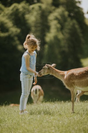 Téléchargez les photos : Cute little girl among reindeer herd on the sunny day - en image libre de droit