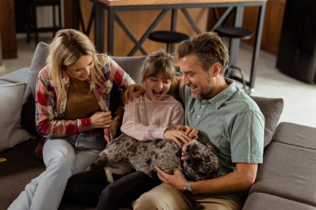 Photo for Joyful parents watch their daughter play with a happy french bulldog at home - Royalty Free Image