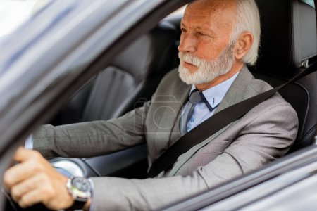 Téléchargez les photos : Homme âgé joyeux dans un costume de conduite tranquillement, se prélasser dans la lueur chaude d'une journée lumineuse - en image libre de droit
