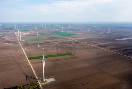 Row upon row of towering wind turbines dominate the landscape, harvesting energy as day breaks