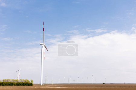 Téléchargez les photos : Les éoliennes se dressent contre un vaste horizon, avec un arbre solitaire contrastant avec le terrain aride. - en image libre de droit