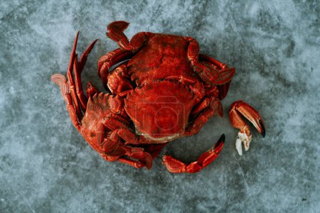 Téléchargez les photos : Vue grand angle de quelques crabes de velours cuits sur une surface de pierre grise - en image libre de droit