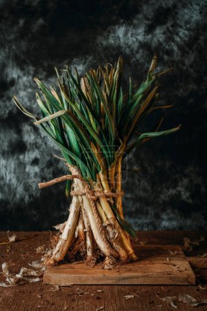 Photo for Closeup of a bunch of raw calcots, the sweet onions typical of Catalonia, Spain, on a wooden table, against a dark gray background - Royalty Free Image