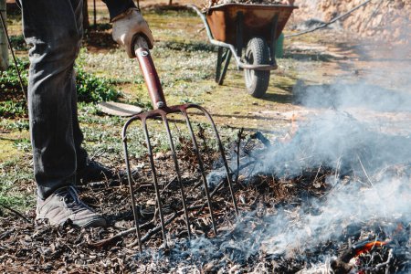 Foto de Closeup of a man stiring, with a pitchfork, the dry branches and other plant remains in a bonfire, after the pruning of different trees, in an orchard - Imagen libre de derechos