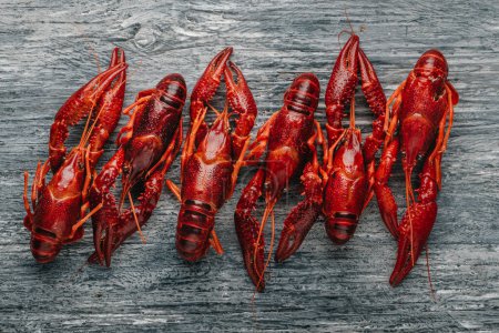 Photo for High angle view of some cooked crayfishes arranged in a line side by side on a gray rustic wooden table - Royalty Free Image