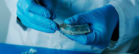 a dentist, wearing blue latex gloves and white coat, adjusts an occlusal splint, in a panoramic format to use as web banner or header