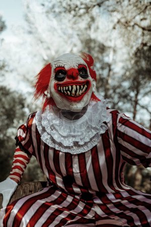 Téléchargez les photos : Gros plan d'un clown roux fou, portant un costume rayé blanc et rouge avec une ruche blanche, et avec un sourire effrayant, dans les bois - en image libre de droit