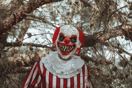 Téléchargez les photos : Un clown diabolique fou, portant un costume rayé blanc et rouge avec une ruche blanche, regarde l'observateur avec un sourire effrayant dans les bois au crépuscule - en image libre de droit