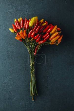 Téléchargez les photos : Vue grand angle d'un bouquet de piments de différentes couleurs sur fond vert foncé - en image libre de droit