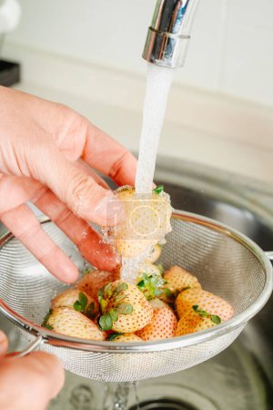 Foto de Primer plano de un hombre enjuagando unas fresas blancas colocadas en un colador bajo el agua corriente del grifo de la cocina - Imagen libre de derechos