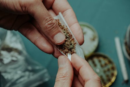 Foto de Closeup of a man putting a paper filter in a joint made with shredded cannabis mixed with tobacco, before to roll it, sitting at a table - Imagen libre de derechos