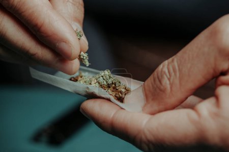 Nahaufnahme eines Mannes, der zerfetztes Cannabis, gemischt mit Tabak, auf ein Papier legt