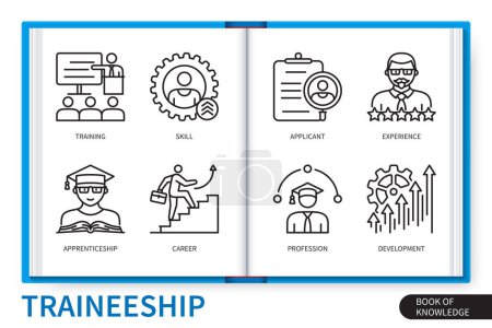 Illustration for Traineeship infographics elements set. Profession, apprenticeship, experience, skill, applicant, development, career, training. Web vector linear icons collection - Royalty Free Image
