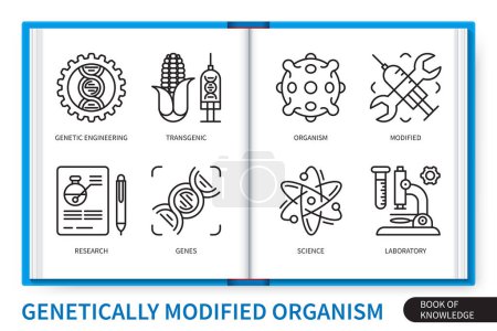 Illustration for Genetically modified organism GMO infographics elements set. Transgenic, genetic engineering, science, research, genes, laboratory, modified, organism. Web vector linear icons collection - Royalty Free Image