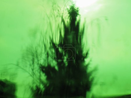 Téléchargez les photos : Impressionniste vue floue des arbres pendant une tempête de vent utile comme arrière-plan - en image libre de droit