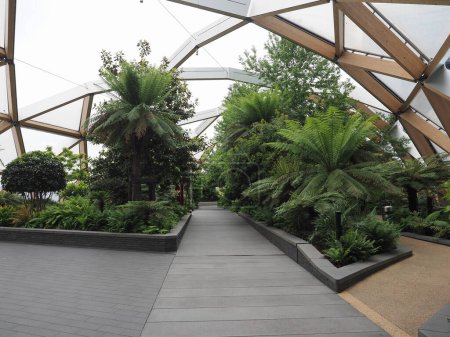 Crossrail Place roof garden at Canary Wharf in London, UK