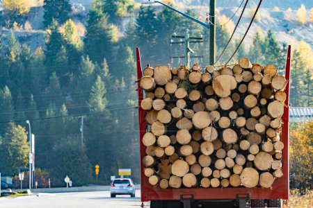 Photo for Logs of wood on the back of a truck - Royalty Free Image