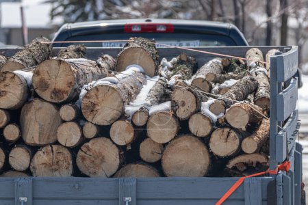 Pile of tree trunks and branches on pickup bed