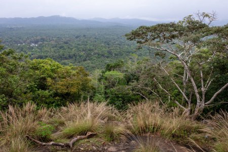 Foto de Fortaleza y paisaje de Sigiriya Lion Rock en Sri Lanka. Vista desde Pidurangala Rock. - Imagen libre de derechos