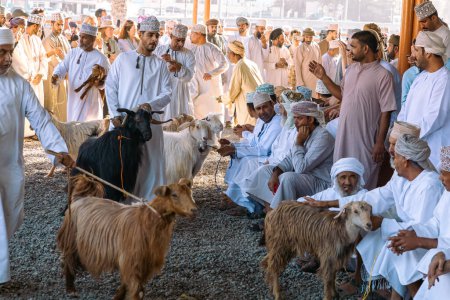 Foto de NIZWA, OMAN - 18 de noviembre de 2022: Nizwa Goat Market. Bazar de animales tradicionales en Nizwa, Omán. - Imagen libre de derechos