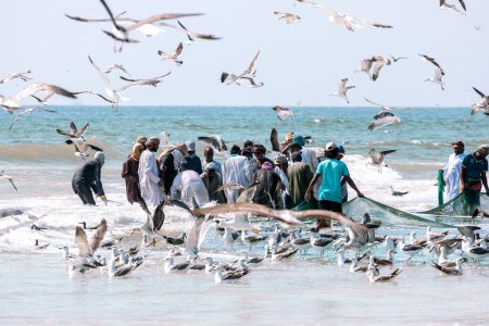 Téléchargez les photos : Des pêcheurs attrapent des sardines de la plage de Salalah. Un gros filet plein de sardines. Les mouettes volent. Salut, Oman. Péninsule arabique. - en image libre de droit