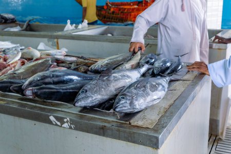 Foto de Mercado de pescado tradicional en Mutrah, Omán. Varios tipos de pescado para la venta, atún y otros pescados. - Imagen libre de derechos