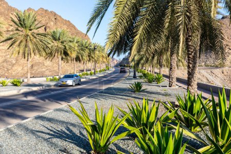 Téléchargez les photos : Route avec palmiers. Architecture omanaise traditionnelle. Vieille ville de Muscat, Oman. Péninsule arabique. - en image libre de droit