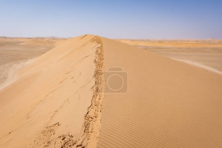 Téléchargez les photos : Désert de Namibie. Dunes de sable près de Swakopmund. Skeleton Coast. Namibie. Afrique. - en image libre de droit