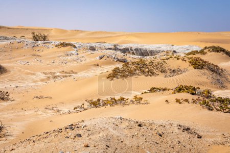 Foto de El desierto de Namibia. Dunas de arena cerca de Swakopmund. Costa Esqueleto. Namibia. África. - Imagen libre de derechos