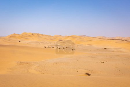 Téléchargez les photos : Désert de Namibie. Dunes de sable près de Swakopmund. Skeleton Coast. Namibie. Afrique. - en image libre de droit