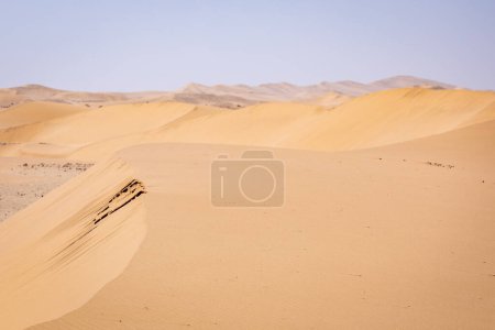 Foto de El desierto de Namibia. Dunas de arena cerca de Swakopmund. Costa Esqueleto. Namibia. África. - Imagen libre de derechos