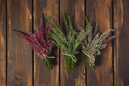 Photo for Calluna vulgaris on brown wooden surface - Royalty Free Image