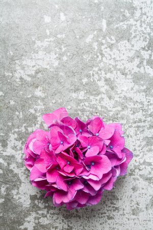 Foto de Flores de hortensias en una superficie de piedra. Enfoque selectivo con fondo borroso con espacio de copia. Vista superior. - Imagen libre de derechos