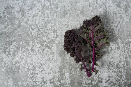 Photo for Red kale on grey stone surface - Royalty Free Image