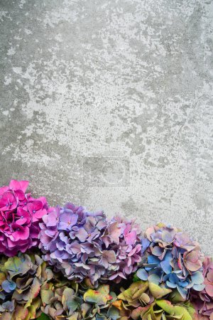 Foto de Flores de hortensias en una superficie de piedra. Enfoque selectivo con fondo borroso con espacio de copia. Vista superior. - Imagen libre de derechos