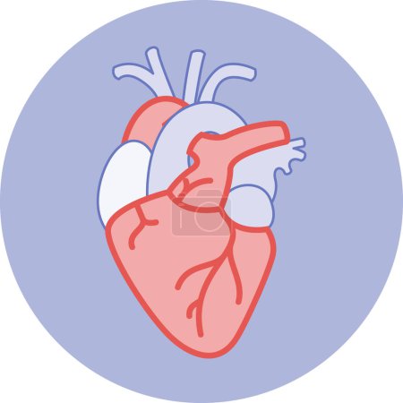 Téléchargez les illustrations : Anatomie de l'illustration cardiaque icône réelle pour l'application de fitness ou site Web ou une illustration imprimée - en licence libre de droit