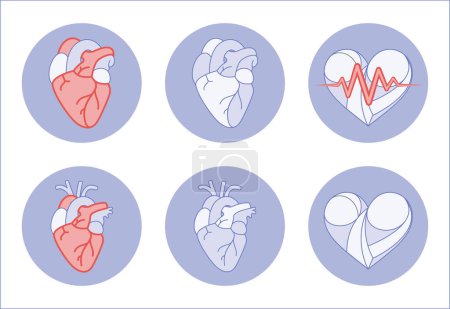 Illustration for Heart illustration anatomy real and symbolic icon for fitness app or website or print artwork - Royalty Free Image