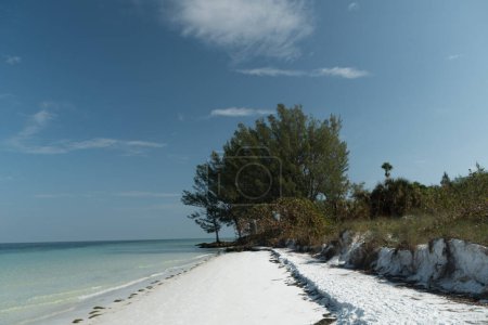 Photo for Empty Bean Point Beach , Anna Maria Island, Sarasota, Florida - Royalty Free Image
