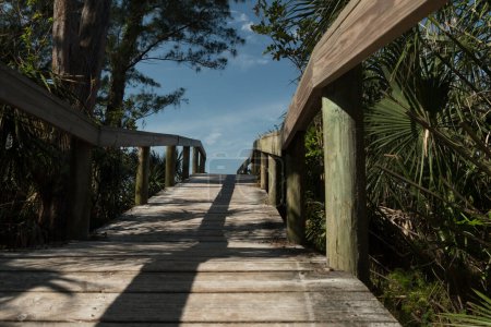 Photo for Wooden bridge on a trail to Bean Point Beach, Anna Maria Island, Sarasota, Florida - Royalty Free Image