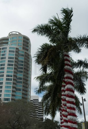 Foto de Guirnalda de Navidad roja y blanca envuelta alrededor de la palmera cerca del muelle de San Pedro con un rascacielos en el fondo, San Petersburgo, Florida - Imagen libre de derechos